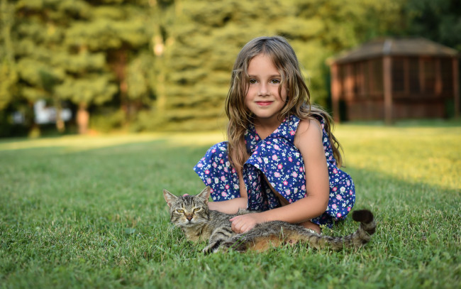 Обои картинки фото разное, настроения, котик, девочка