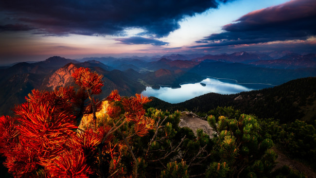 Обои картинки фото природа, пейзажи, баварские, альпы