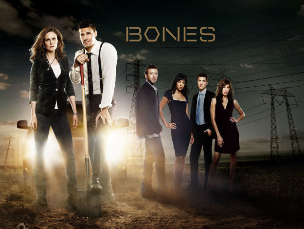 Обои картинки фото кино фильмы, bones, полицейские, лопата, свет, провода