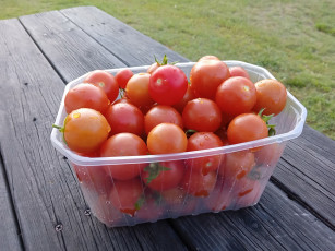 обоя еда, помидоры, свежие, капли