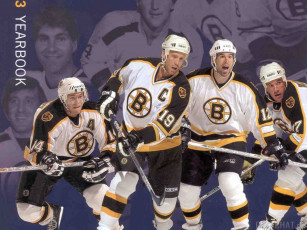 Картинка boston bruins спорт nhl