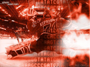 Картинка kiprusoff спорт nhl