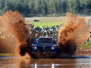 Картинка спорт авторалли