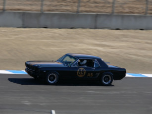 Картинка спорт автоспорт