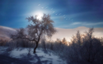 Картинка разное компьютерный дизайн