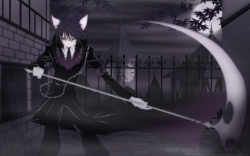 Картинка shugo chara аниме