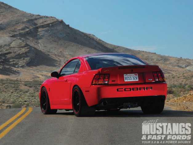 Обои картинки фото 1999, ford, mustang, gt, cobra, replica, автомобили