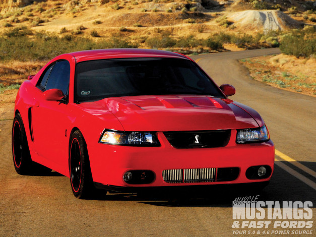 Обои картинки фото 1999, ford, mustang, gt, cobra, replica, автомобили