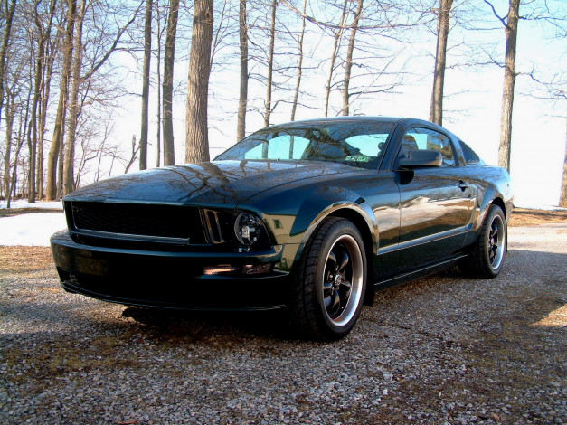 Обои картинки фото автомобили, mustang