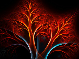 Картинка 3д графика fractal фракталы абстракция узор