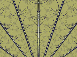 Картинка 3д графика fractal фракталы узор абстракция