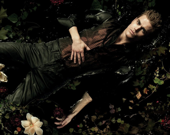 Обои картинки фото the, vampire, diaries, кино, фильмы, paul, wesley
