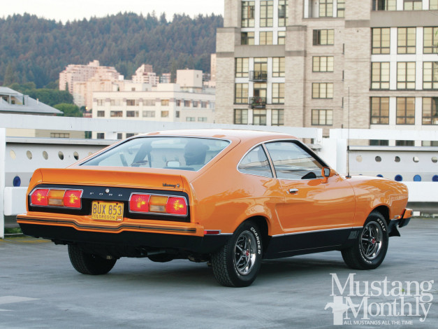 Обои картинки фото автомобили, mustang