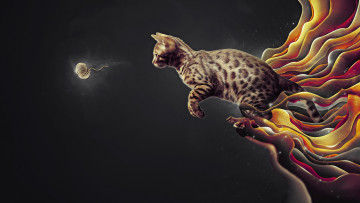 Картинка разное компьютерный+дизайн кот