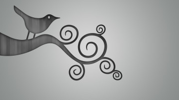 Картинка рисованные минимализм ветка птичка