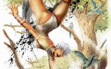 Картинка ultra+street+fighter+iv видео+игры птицы девушка