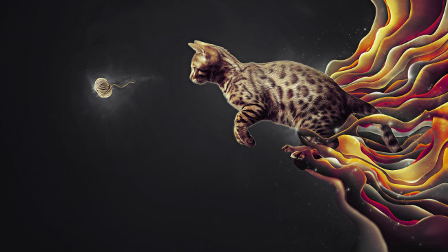 Обои картинки фото разное, компьютерный дизайн, кот