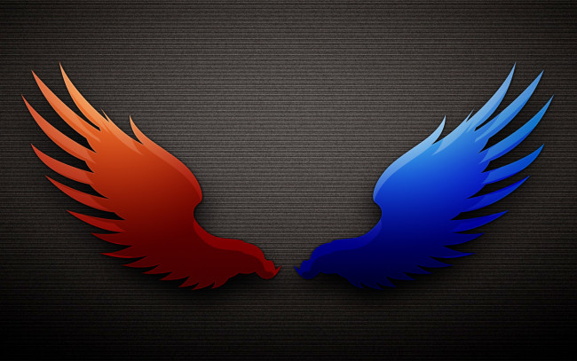 Обои картинки фото рисованные, минимализм, крилья