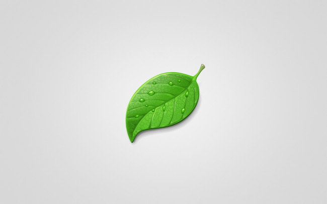 Обои картинки фото рисованные, минимализм, лист, leaf, зеленый, капли, светлый, фон