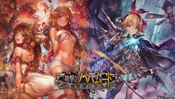 Картинка аниме shingeki+no+bahamut девушки арт shingeki no bahamut