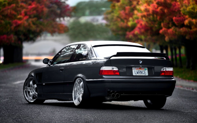 Обои картинки фото автомобили, bmw