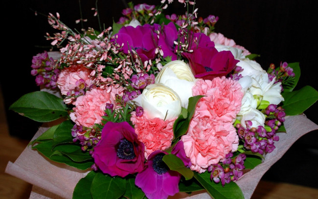 Обои картинки фото цветы, букеты,  композиции, гвоздика, анемоны