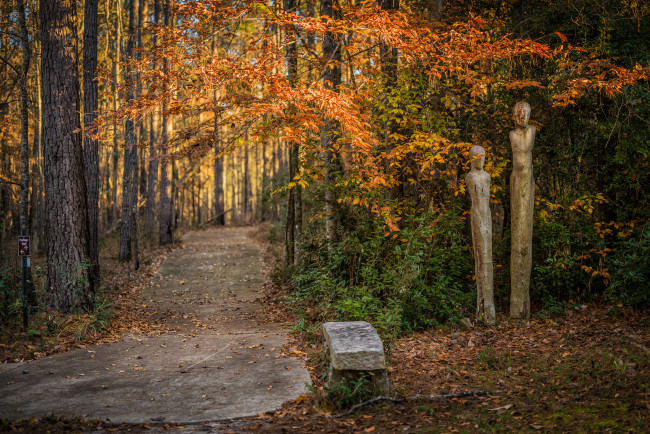 Обои картинки фото природа, дороги, дорожка, лес