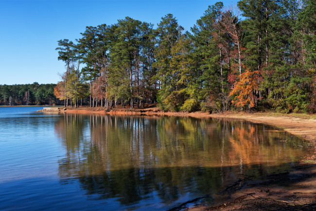 Обои картинки фото природа, реки, озера, река, лес