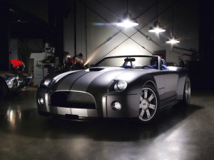 обоя shelby cobra concept 2004, автомобили, ac cobra, shelby, cobra, concept, 2004