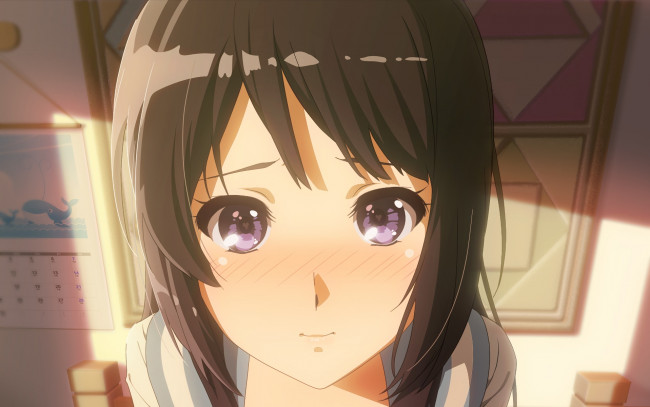 Обои картинки фото аниме, sound horizon, девушка, взгляд, фон