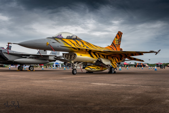 Обои картинки фото авиация, боевые самолёты, ввс