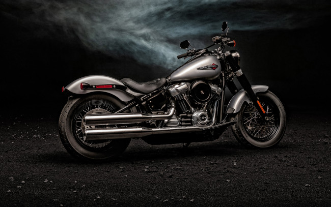 Обои картинки фото 2020 harley-davidson softail slim, мотоциклы, harley-davidson, американские, sofail, slim, серый, новый, мотоцикл, экстерьер, классический, harley, davidson, 2020