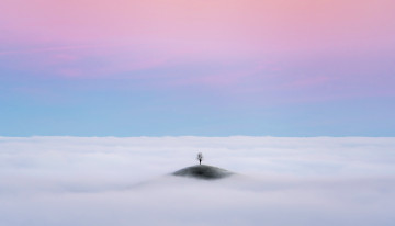 Картинка природа деревья небо облака туман холм дерево