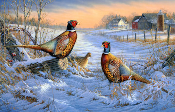 обоя sam timm, рисованное, живопись, фазаны