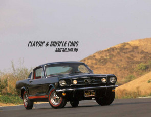 Картинка автомобили ford