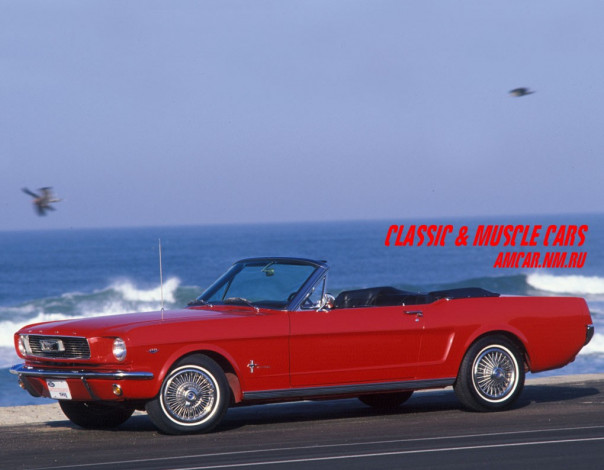 Обои картинки фото автомобили, ford