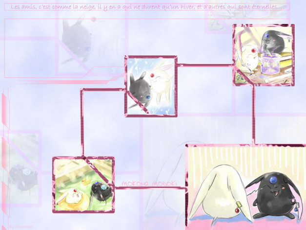 Обои картинки фото аниме, xxxholic