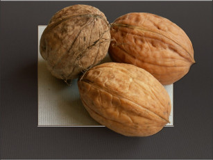 Картинка еда орехи каштаны