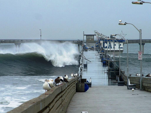 Обои картинки фото города