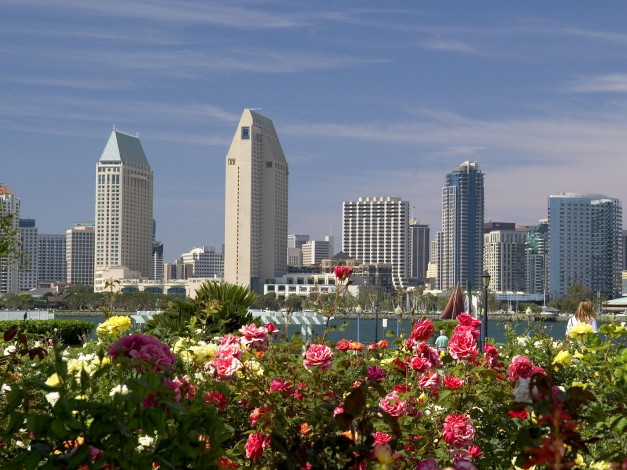 Обои картинки фото города