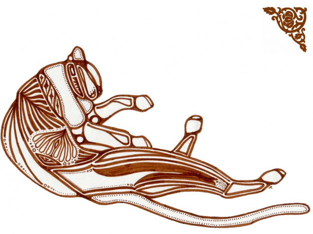 Обои картинки фото рисованные, минимализм