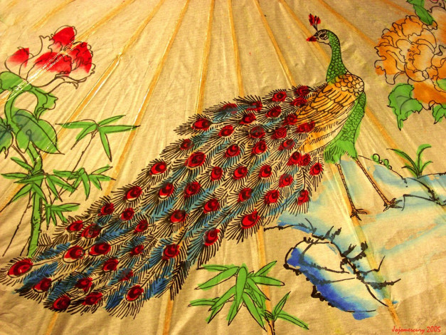 Обои картинки фото рисованные, животные, птицы, павлины