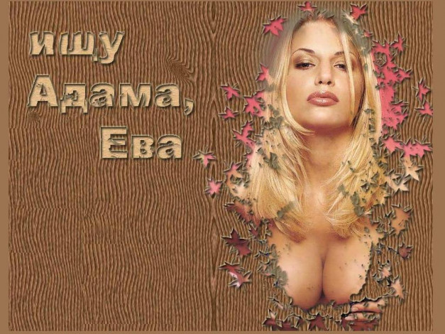 Обои картинки фото юмор, приколы