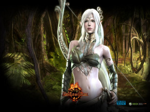 Картинка kingdom under fire circle of doom видео игры