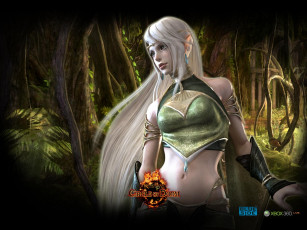 Картинка kingdom under fire circle of doom видео игры