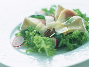 Картинка еда салаты закуски