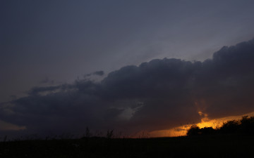 Картинка природа