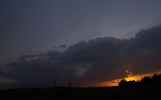 Обои картинки фото природа