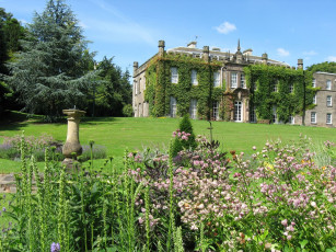 Картинка города здания дома плющ