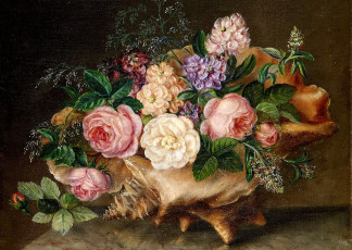 Картинка августа плагеман рисованные augusta plageman ракушка розы цветы